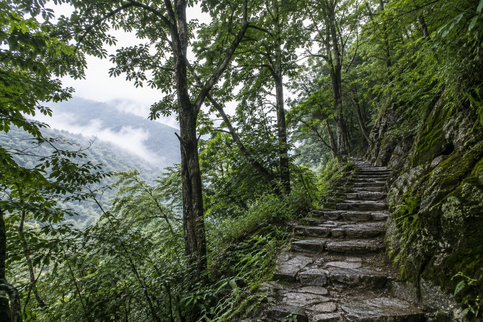 松间·山林营地环境与服务